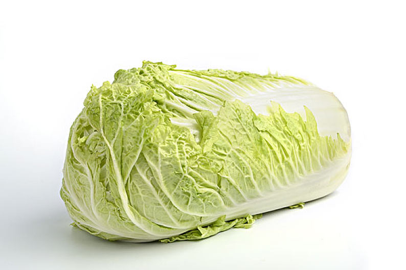 白菜萝卜怎么种?新手必看的种植技巧大全插图2 白菜萝卜怎么种?新手必看的种植技巧大全插图2