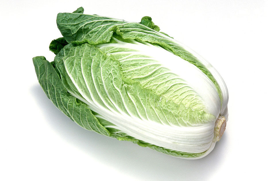 白菜怎样种植(白菜种植方法全解析)-会东网