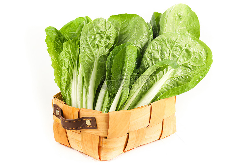 冬天大白菜什么时候种?最佳种植时间及技巧全解析-会东网