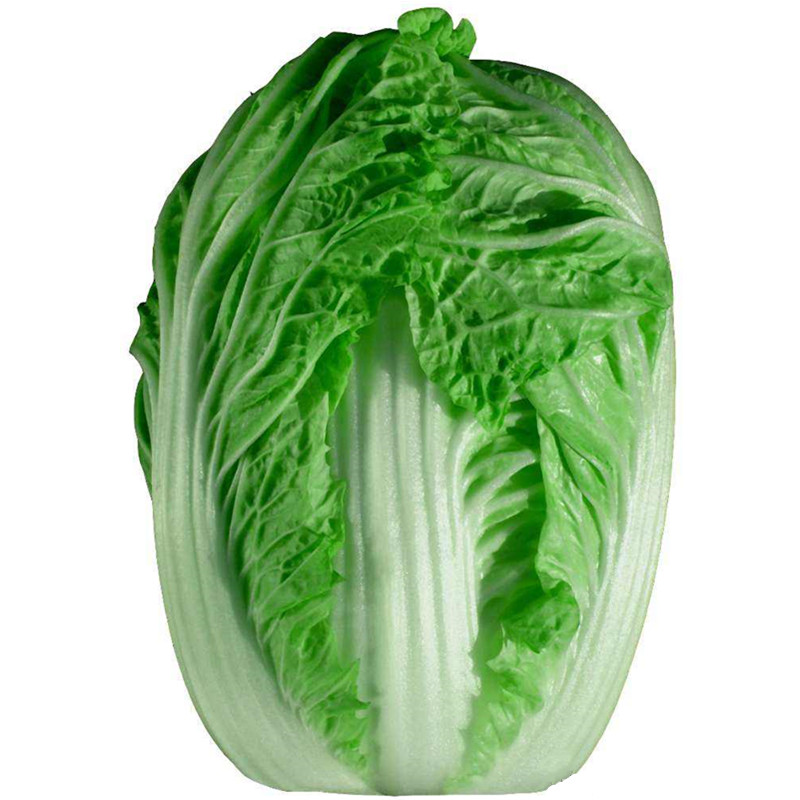 大白菜所有品种介绍:从青麻叶到娃娃菜全面解析-会东网