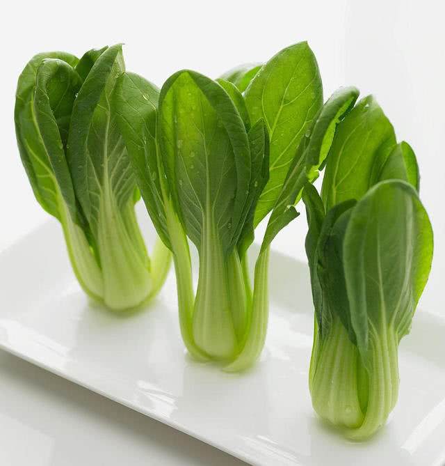 种植大白菜怎样施肥才产量高?5个关键施肥技巧大公开-会东网