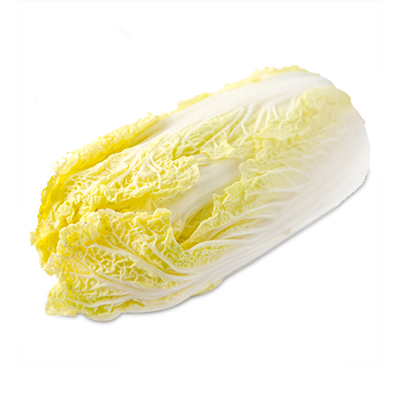 大白菜怎么种植才能包心？5个关键技巧让菜心紧实饱满插图2