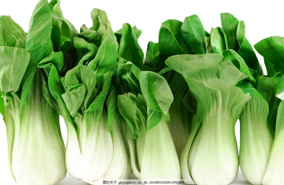 七月份种白菜可以不？最佳种植时间与技巧全解析插图1