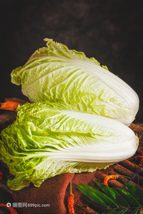 小白菜现在可以种吗？最佳种植时间与技巧全解析插图2