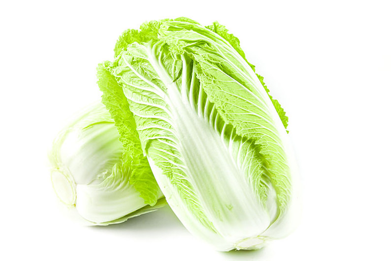 白菜种早了怎么办?菜农必看的补救措施与预防方法-会东网