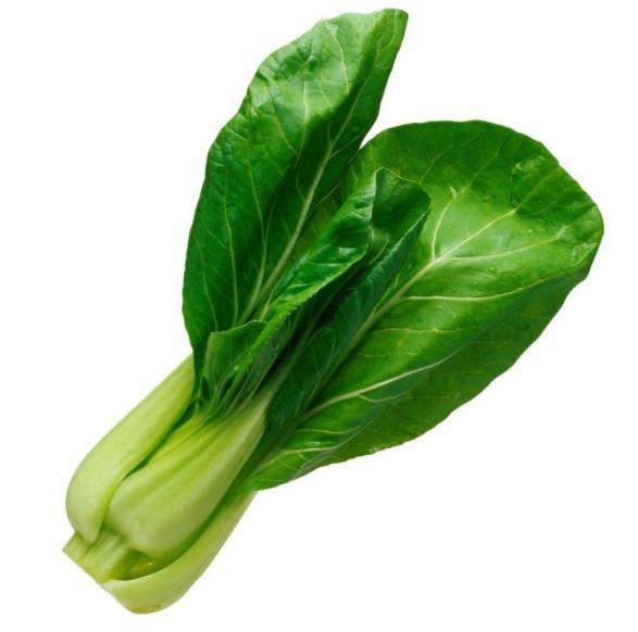 白菜一般什么时候种(白菜最佳种植时间指南)-会东网