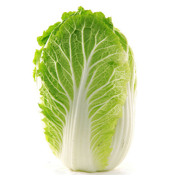 白菜种选什么样的好?优质白菜种子挑选指南插图2 白菜种选什么样的好?优质白菜种子挑选指南插图2