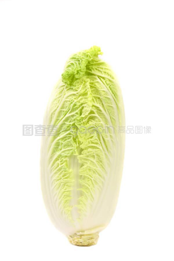 大白菜种方法详解：从选种到收获的全过程指南插图1