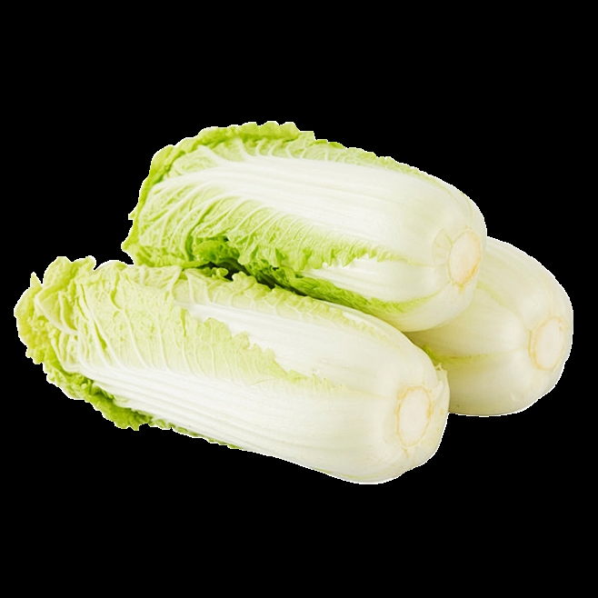 几月份种白菜最合适?最佳种植时间全解析插图2 几月份种白菜最合适?最佳种植时间全解析插图2