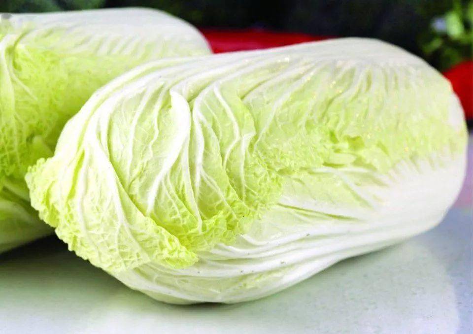 种大白菜底肥用什么肥好？5种最佳底肥推荐及使用方法插图1