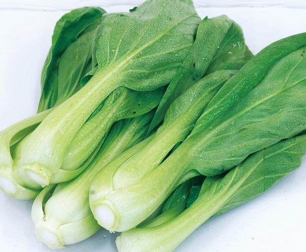 小白菜怎么种?小白菜的种植方法和步骤全解析插图1 小白菜怎么种?小白菜的种植方法和步骤全解析插图1