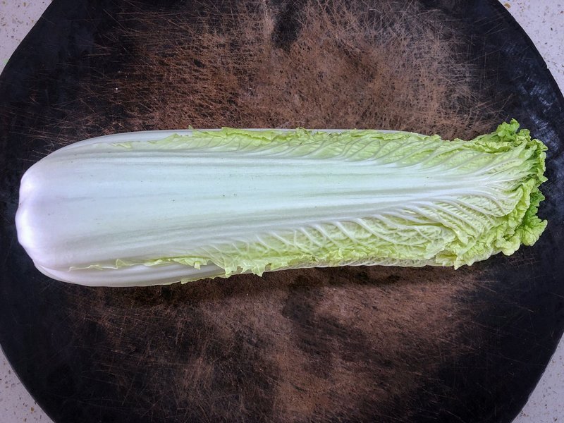 小白菜啥时种最合适？小白菜最佳种植时间全解析插图2