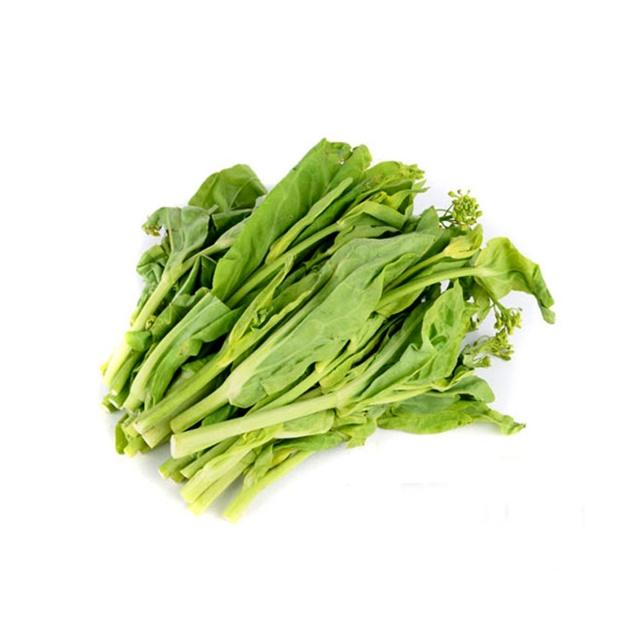 白菜种植浇水技巧大全（白菜种植浇水关键步骤详解）-会东网