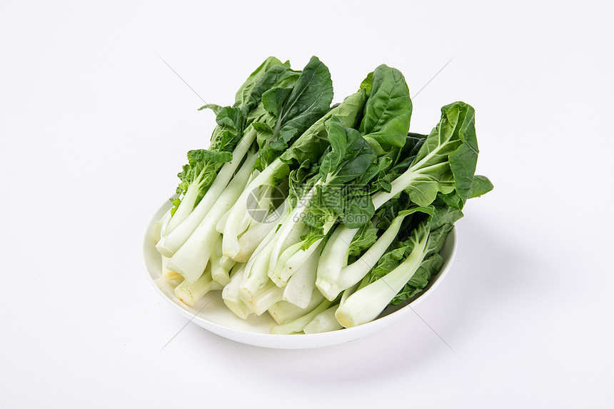 大白菜几时种植最佳?掌握这些种植时间让你收获满满插图2 大白菜几时种植最佳?掌握这些种植时间让你收获满满插图2