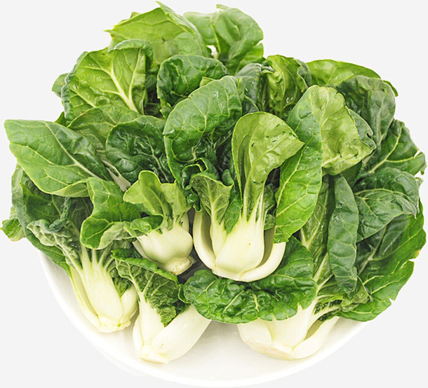 种植大白菜如何浇水?掌握这5个技巧让白菜长得又大又好插图2 种植大白菜如何浇水?掌握这5个技巧让白菜长得又大又好插图2