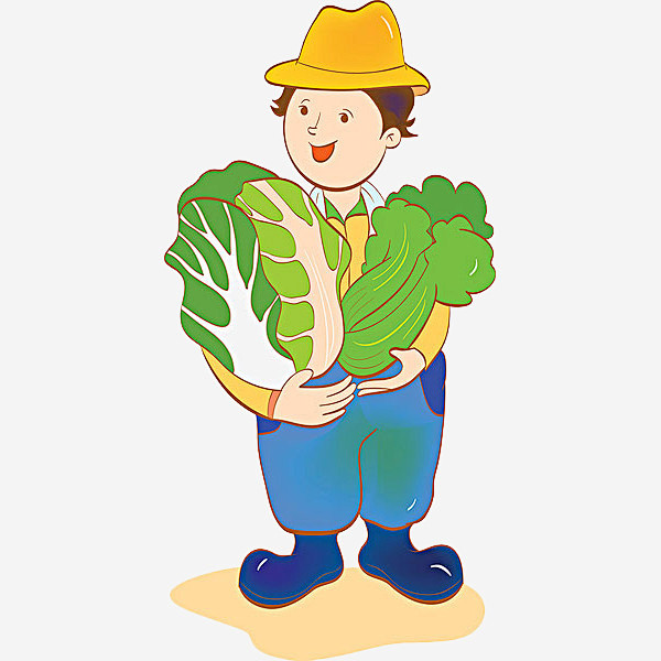 四季小白菜的种植方法和时间全解析:从播种到收获的完整指南插图1 四季小白菜的种植方法和时间全解析:从播种到收获的完整指南插图1