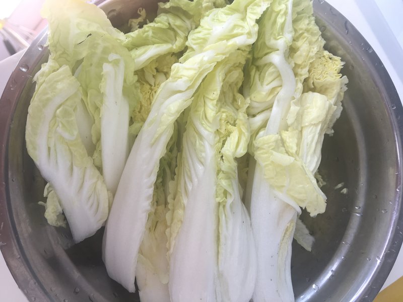 种大白菜用什么底肥好？5种高效底肥推荐及使用技巧-会东网