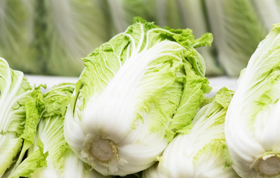 夏天种白菜需要遮阳网吗？夏季白菜遮阳全攻略插图2