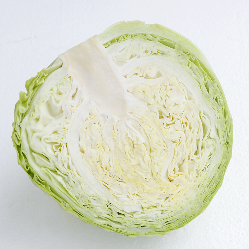 种大白菜怎么种好?5个关键步骤教你种出鲜嫩大白菜插图2 种大白菜怎么种好?5个关键步骤教你种出鲜嫩大白菜插图2