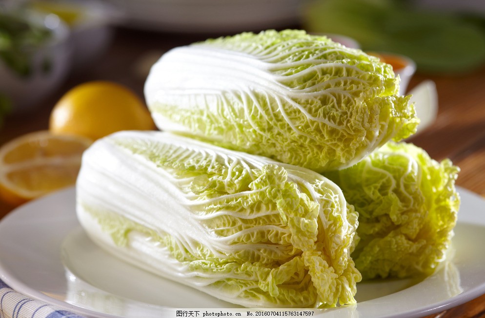 什么时候种白菜最合适?最佳种植时间及技巧全解析插图1 什么时候种白菜最合适?最佳种植时间及技巧全解析插图1