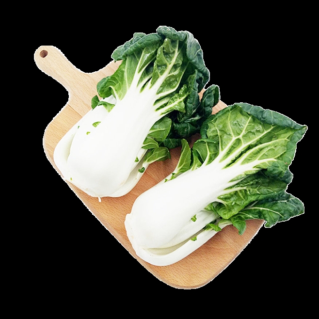 白菜种植栽培管理技术全解析：从选种到收获的完整指南插图1