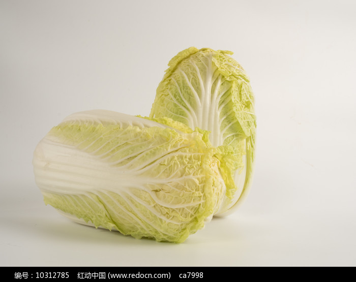 冬白菜啥时候种？最佳种植时间与技巧全解析插图1