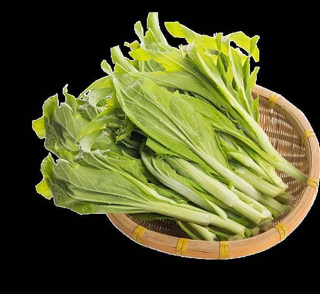 白菜高垄种植技术详解(高产优质栽培全攻略)插图1 白菜高垄种植技术详解(高产优质栽培全攻略)插图1