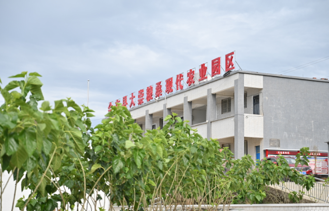 4.56公里通组路修通,大崇镇半山村开启产业升级生活提质新篇插图2 4.56公里通组路修通,大崇镇半山村开启产业升级生活提质新篇插图2