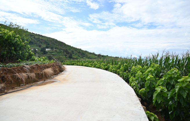 4.56公里通组路修通,大崇镇半山村开启产业升级生活提质新篇插图 4.56公里通组路修通,大崇镇半山村开启产业升级生活提质新篇插图