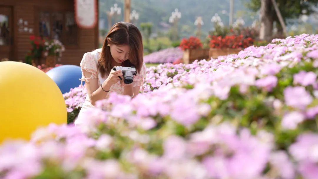 会东火把节十二时辰:邂逅美食美景与热情插图5 会东火把节十二时辰:邂逅美食美景与热情插图5