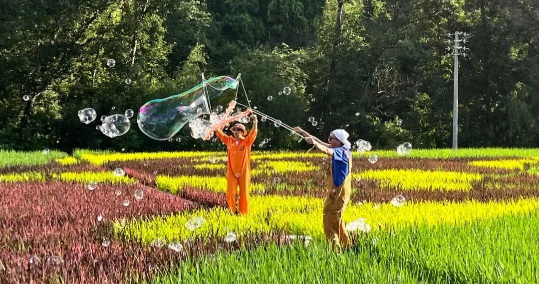 2025姜州火把节:摩登集市嗨翻湿漉漉夏天!插图8 2025姜州火把节:摩登集市嗨翻湿漉漉夏天!插图8