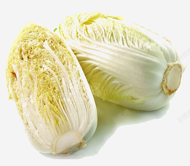 种大白菜应该大水浇灌吗?专家解析科学浇水技巧插图1 种大白菜应该大水浇灌吗?专家解析科学浇水技巧插图1