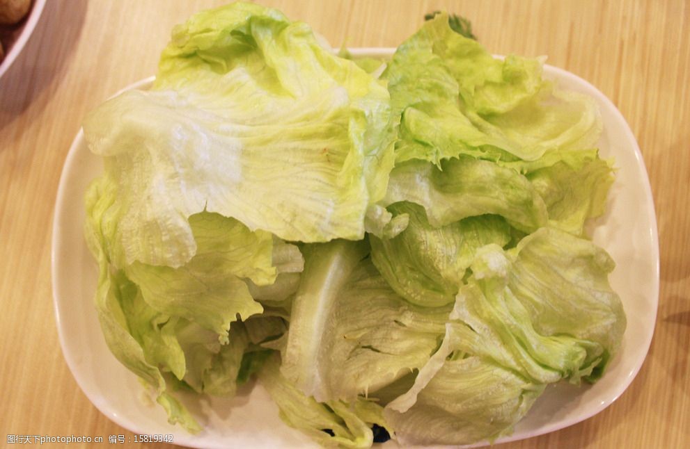 今年种大白菜的最佳时间指南:把握黄金种植期插图1 今年种大白菜的最佳时间指南:把握黄金种植期插图1