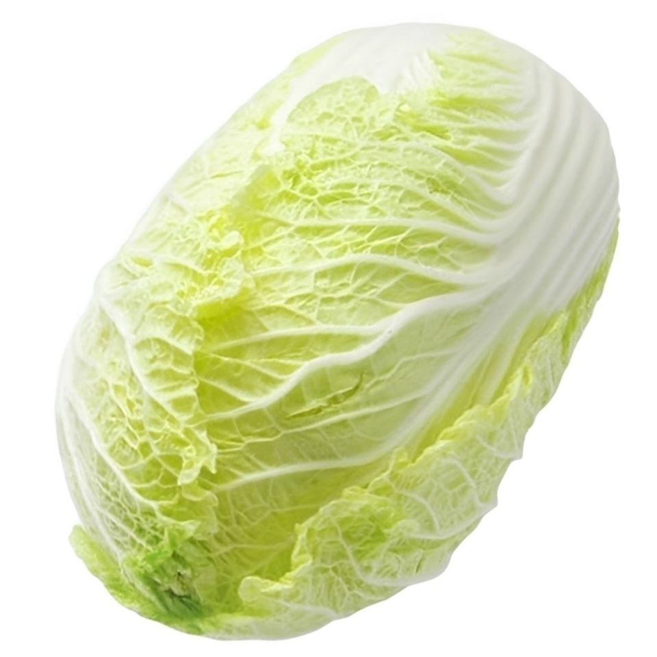 铁甲16白菜种价格多少(铁甲16白菜种选购指南)插图2 铁甲16白菜种价格多少(铁甲16白菜种选购指南)插图2