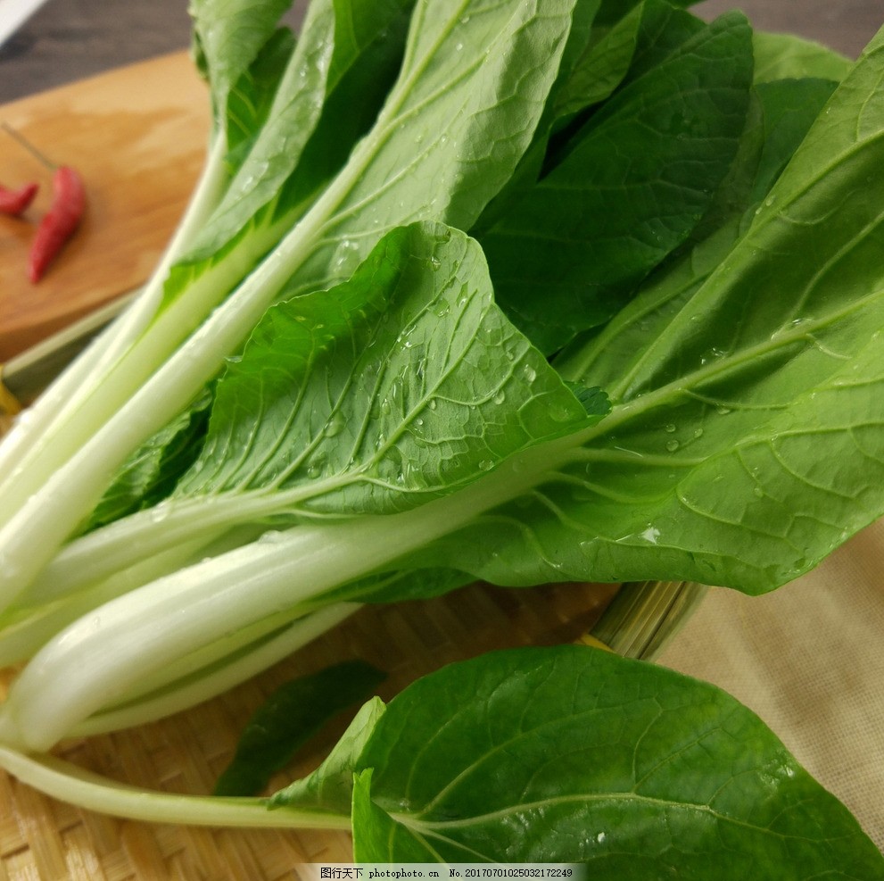 冬储大白菜什么品种好？5大耐储品种推荐插图1