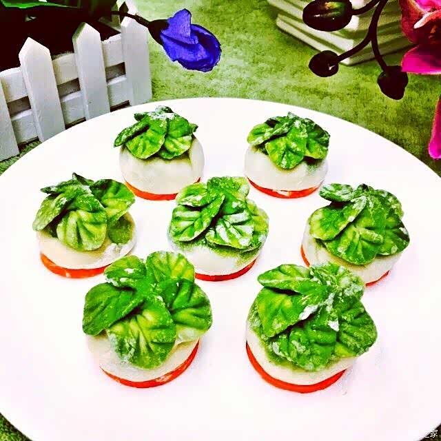 小白菜什么时间种最合适?小白菜最佳种植时间解析-会东网