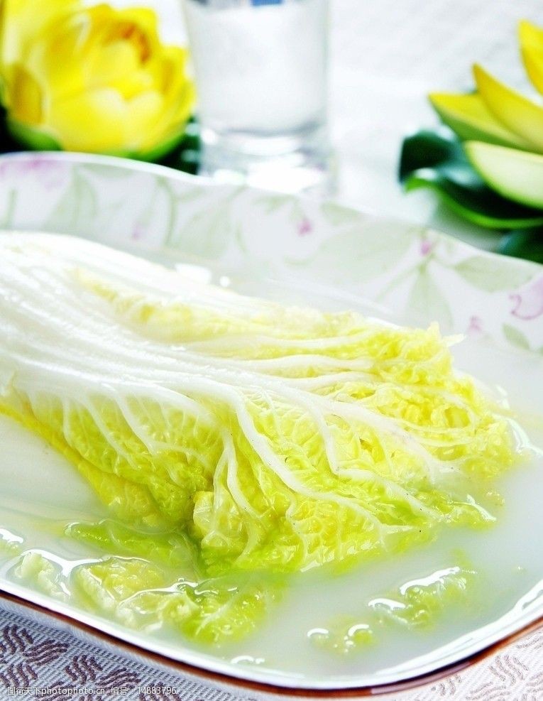 二伏种白菜最佳时间及种植技巧全解析插图