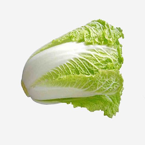 大白菜几月份种好？最佳种植时间全解析插图1