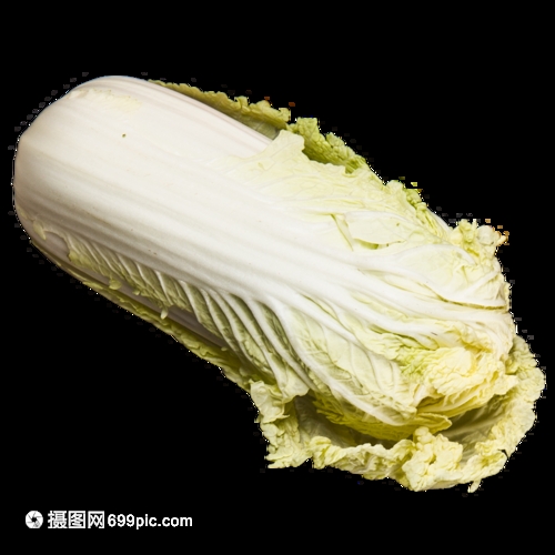 速生小白菜种植方法全解析:从选种到收获的完整指南-会东网