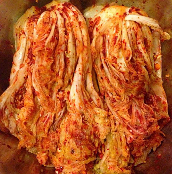 大白菜能重茬种植吗?专家解析重茬种植的利与弊插图2 大白菜能重茬种植吗?专家解析重茬种植的利与弊插图2