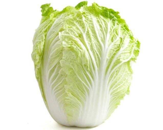 夏季大白菜什么时候种最佳？种植时间全攻略插图2