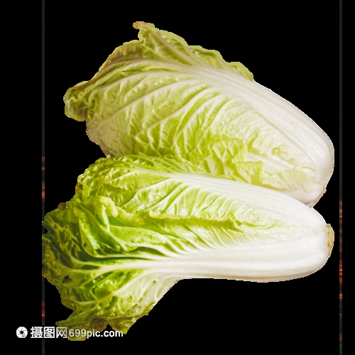 大白菜什么时间种合适？最佳种植季节全解析插图2