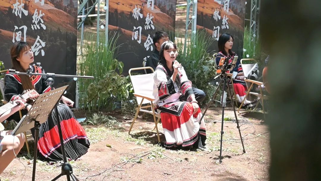 会东马头山7月邀约：开启五大深度体验，共赴森林呼吸之约插图