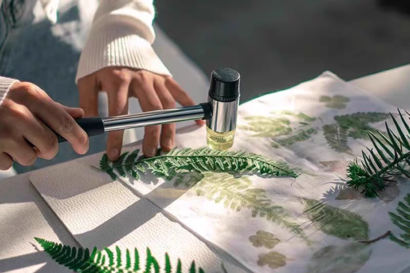 会东马头山7月邀约：开启五大深度体验，共赴森林呼吸之约插图1