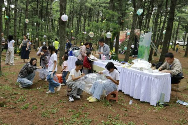 马头山森林音乐派对:奏响自然与欢乐的夏日交响曲-会东网