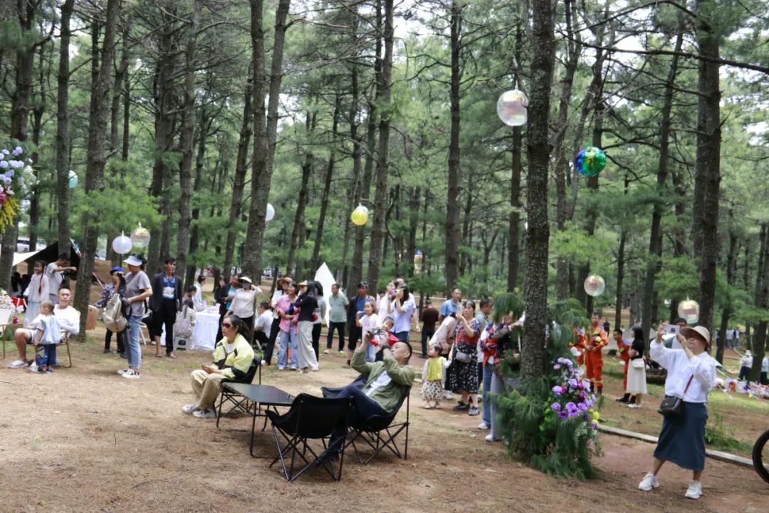 马头山森林音乐派对:奏响自然与欢乐的夏日交响曲插图 马头山森林音乐派对:奏响自然与欢乐的夏日交响曲插图