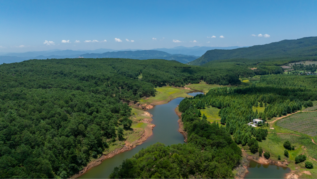 马头山森林音乐派对:奏响自然与欢乐的夏日交响曲插图4 马头山森林音乐派对:奏响自然与欢乐的夏日交响曲插图4