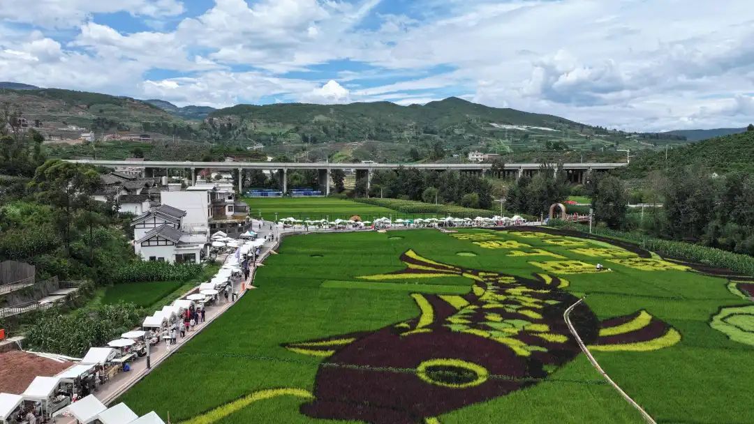 陌上姜州摩登集市:玩转“乡潮”夏日派对插图1 陌上姜州摩登集市:玩转“乡潮”夏日派对插图1