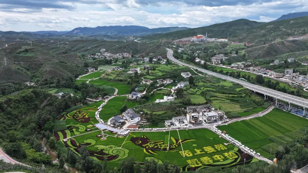 陌上姜州摩登集市:玩转“乡潮”夏日派对插图 陌上姜州摩登集市:玩转“乡潮”夏日派对插图