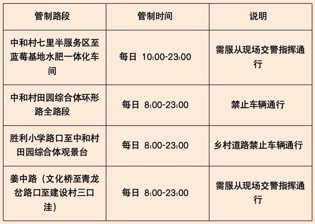 陌上姜州摩登集市:玩转“乡潮”夏日派对插图3 陌上姜州摩登集市:玩转“乡潮”夏日派对插图3